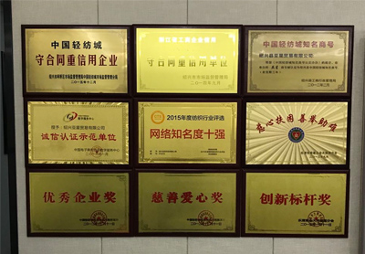 企業(yè)榮譽牆